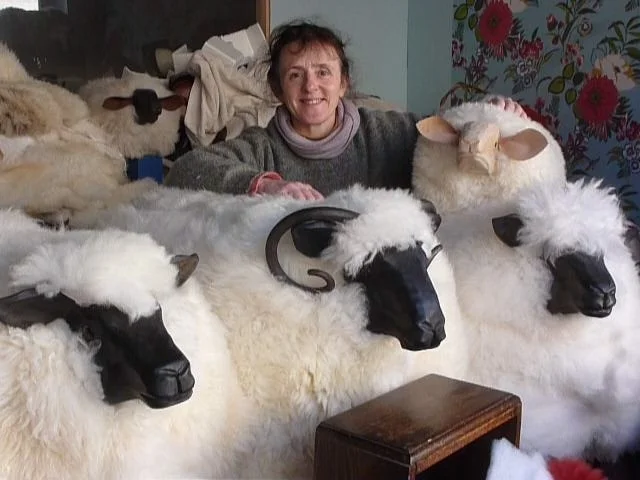 Sheep footrest 2024